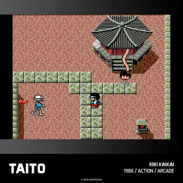 Evercade #18, Taito Arcade 2, 9-in-1, Retro, Multi-Game, Game Pack