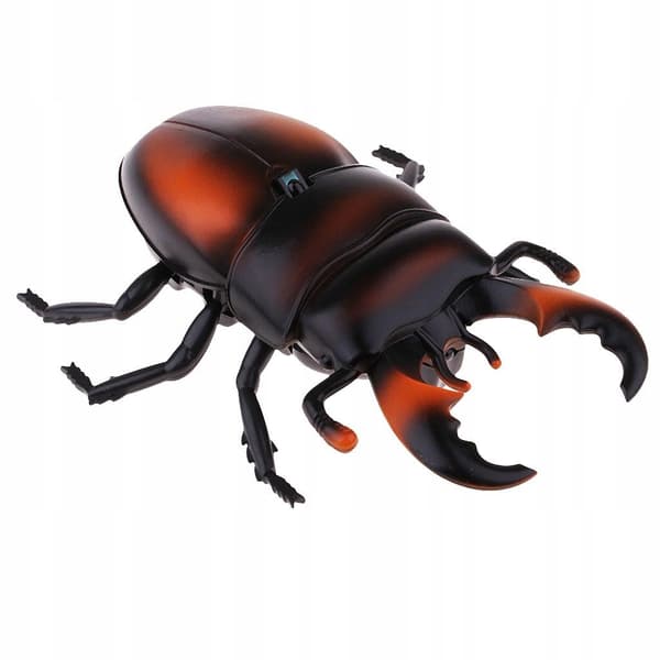 Radio-controlled ‘Scared Beetles’ toy model for a Hallowmas party
