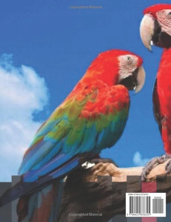 Drawing Book: Parrot