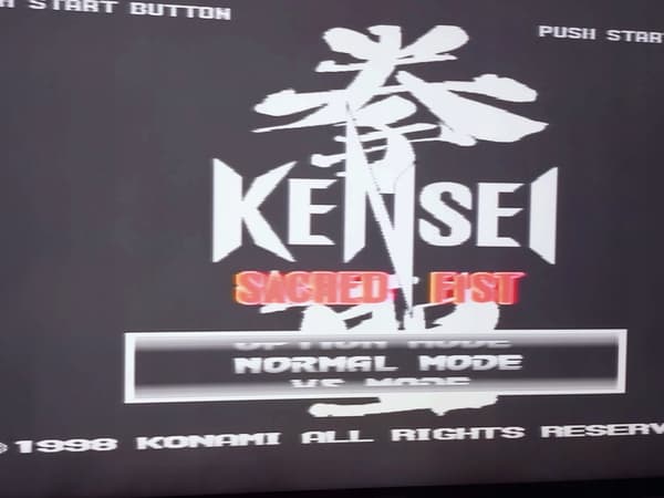 KENSEI SACRED FIST PSX – DISC – PLEASE READ THE DESCRIPTION!!