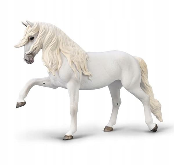 LIPIZZAN MARE, SPANISH WALK, COLLECTA