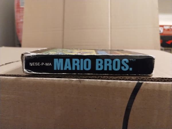 The NES Mario Bros game
