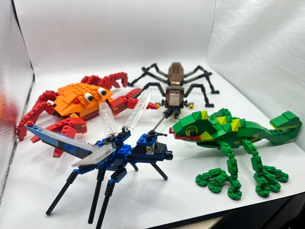 LEGO 4101 Creator Wild Collection