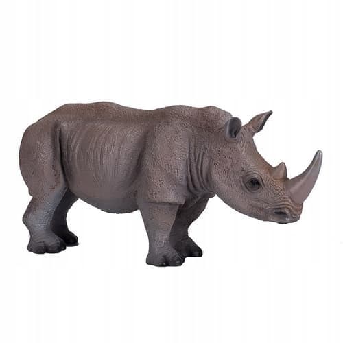 Mojo the White Rhinoceros