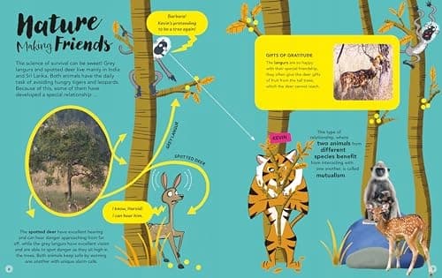 ANIMALS ARE AWESOME! (BOOK)