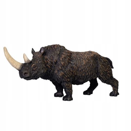 My Woolly Rhinoceros
