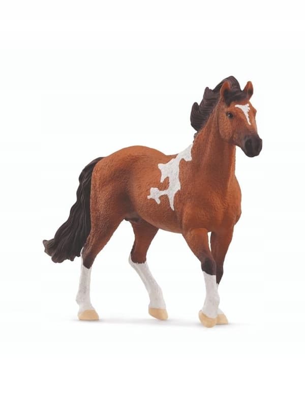 A MANGALARGA MARCHADOR STALLION