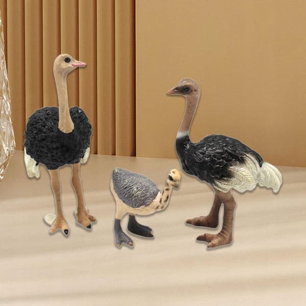 3x Bird models Ostrich model Animal figurines Sculptures Science Educational