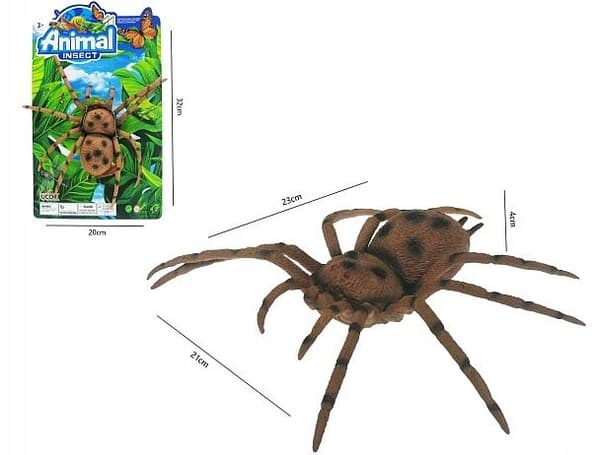 hard-shelled spider | HHD21