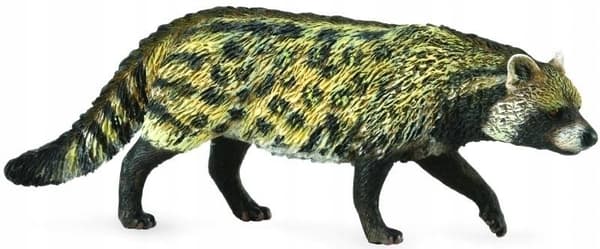 African Civet
