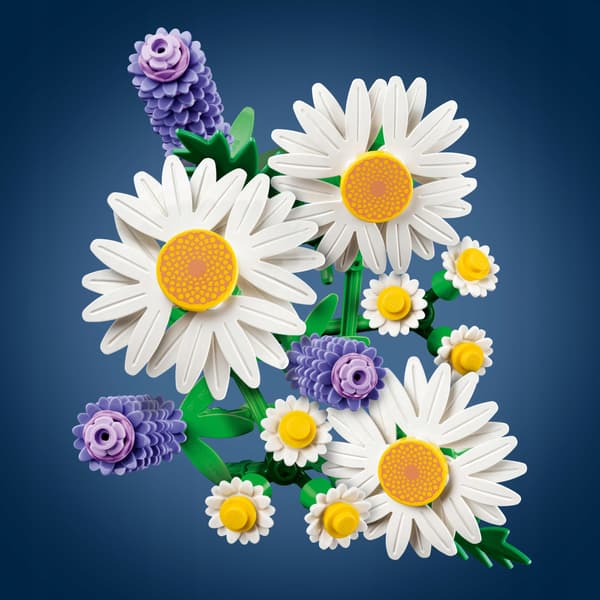 LEGO Botanicals Daisies 11508
