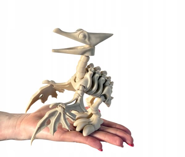 3D Pteranodon Skeleton + Nest with Eggs – a movable, articulated model