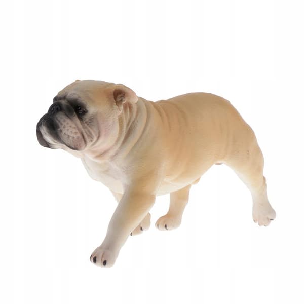 Simulation Pets Animal model Figurine Educational toy Decoration 1