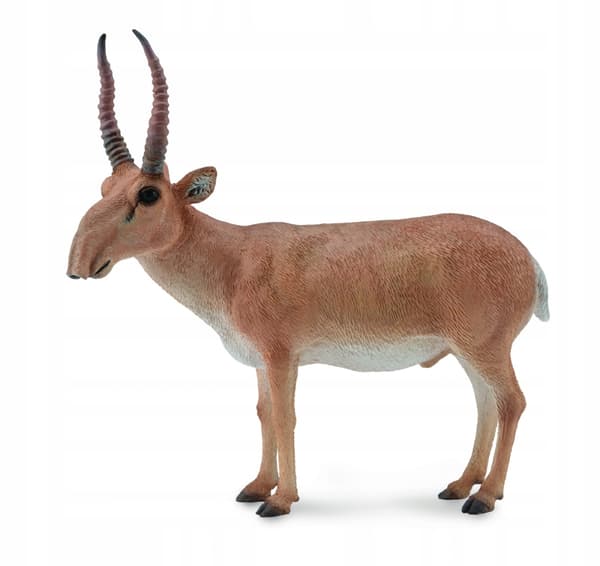 Steppe Suhak L