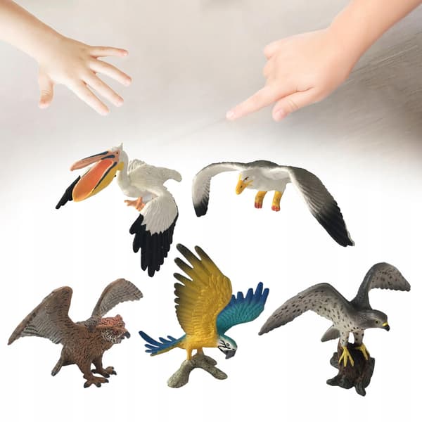 5-Piece Bird Simulation Model Educational Toy Collection – A-Style Decoration