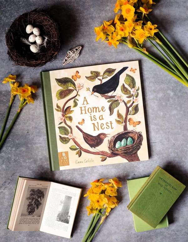 A HOME IS A NEST (BOOK)