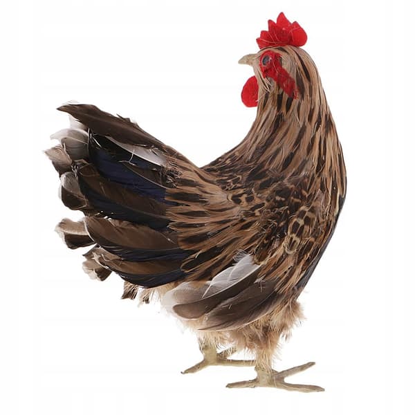 Feather Chicken Miniatures – Model Statue – Simulated Sculpture – Christmas