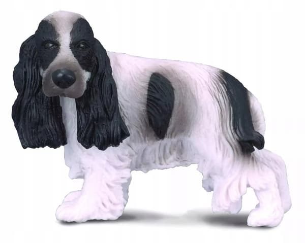 An English Cocker Spaniel.