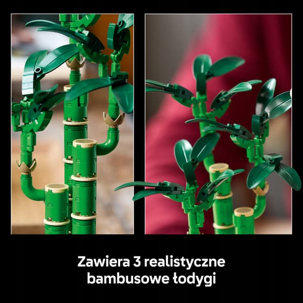 LEGO Botanicals Dracaena sanderi 10344