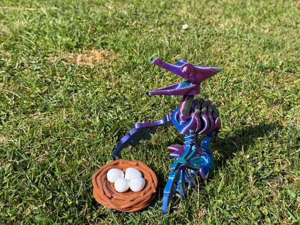 3D Pteranodon Skeleton + Nest with Eggs – a movable, articulated figurine