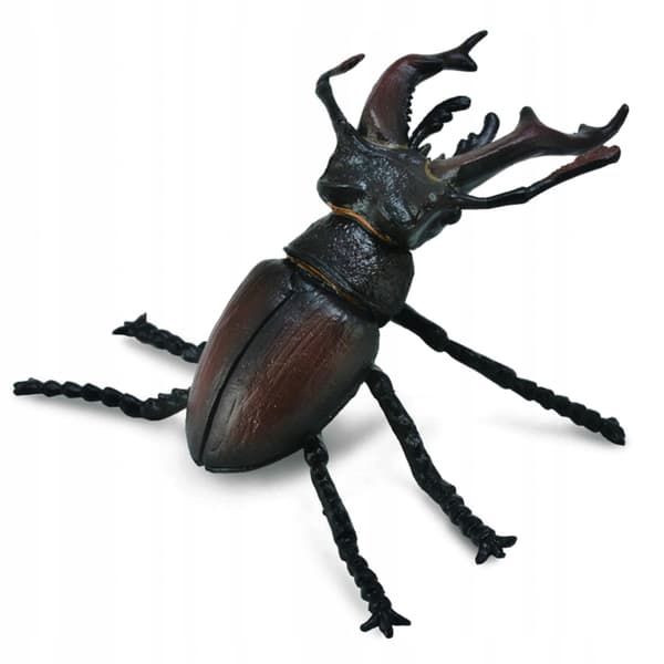 Collecta Insect Figure Set, Animal Figures 3+