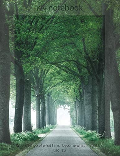 Notebook: Road with Green Trees, Nature, Landscape, Blank, Soft Cover, white