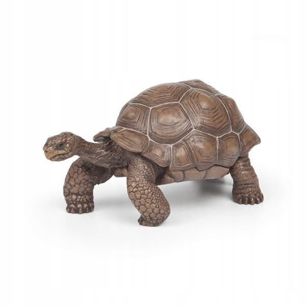GALAPAGOS TURTLE [FIGURINE]