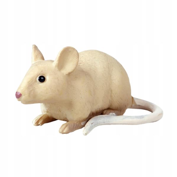 Realistic mouse model Sculptures Collectables Educational mice A-style toy