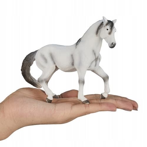 Mojo, a grey Andalusian horse