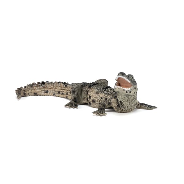 YOUNG CROCODILE [FIGURINE]