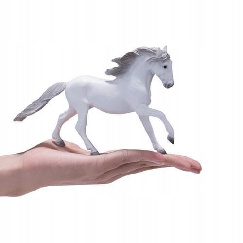 Mojo, a white Lusitano horse