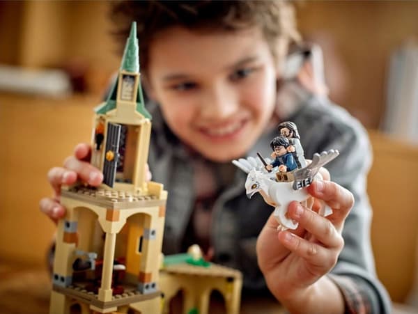 LEGO Harry Potter 76401 Hogwarts Courtyard