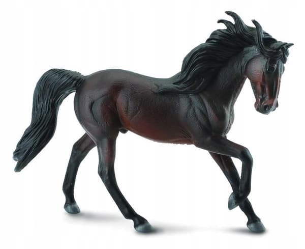 BAY ANDALUSIAN STALLION, COLLECTA