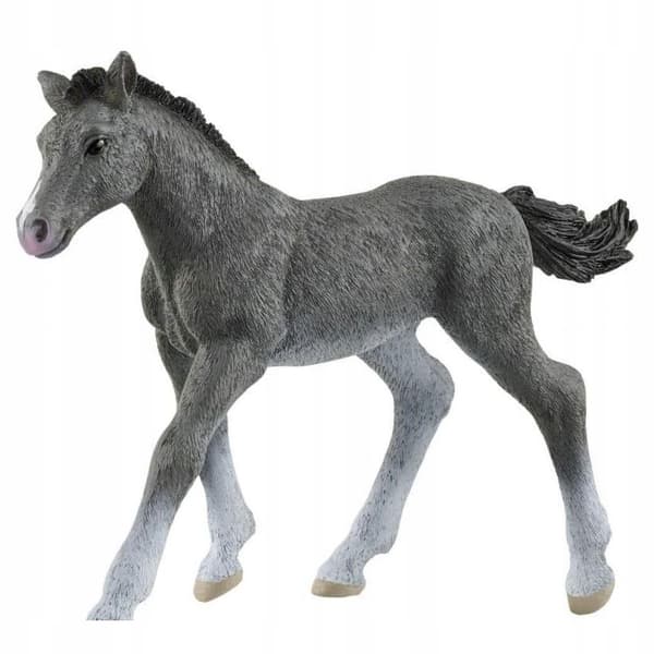 A THRAKEN FOAL