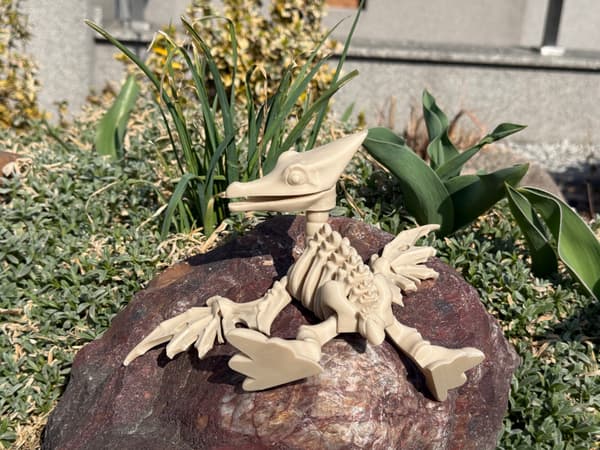 3D Pteranodon Skeleton + Nest with Eggs – a movable, articulated model