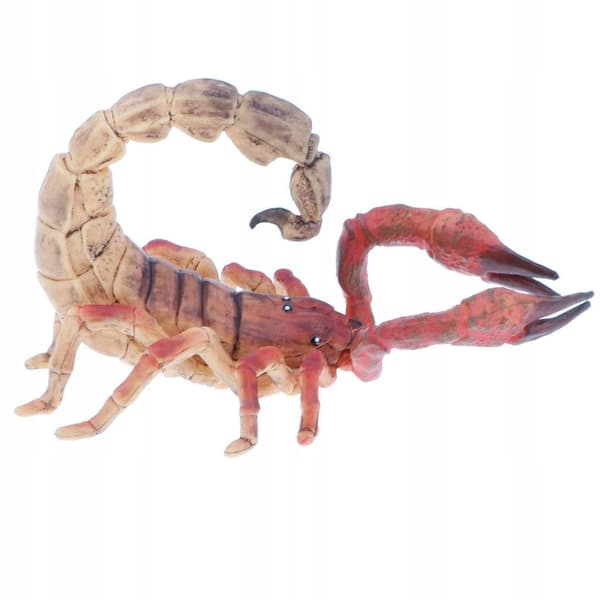 Simulation: Children’s Halloween Toy Gift Party Model