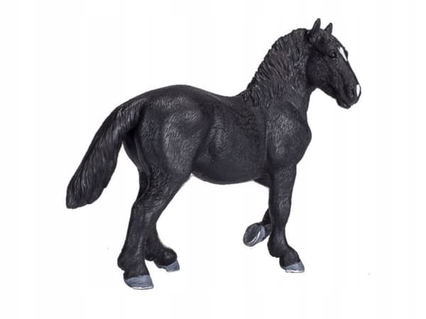 Mojo, a Percheron horse