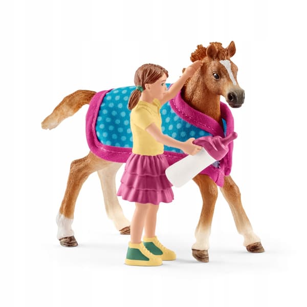 A foal with a blanket