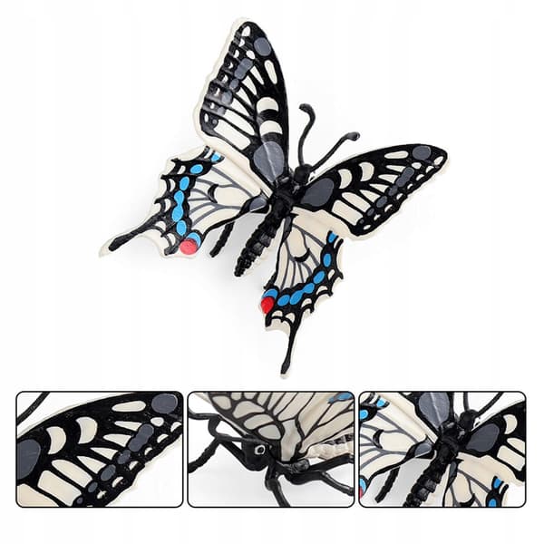 Educational resources for learning about animal models: Swallowtail Butterfly Favours