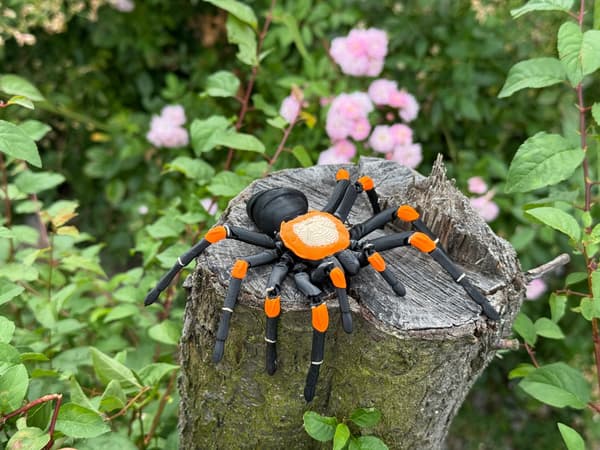 Tarantula 3D – a realistic, articulated spider, a unique figurine