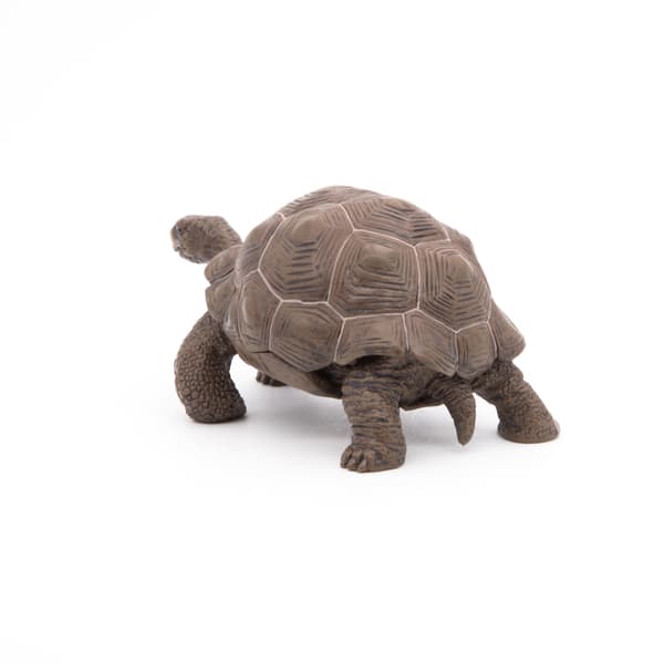 GALAPAGOS TURTLE [FIGURINE]