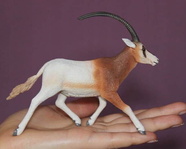 Oryx gazelle (L)