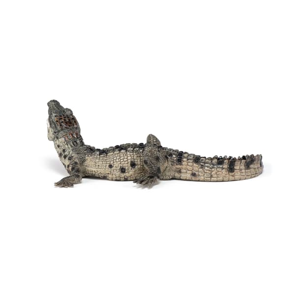 YOUNG CROCODILE [FIGURINE]