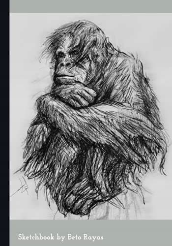 Sketchbook: A great tool for designing beautiful compositions and practising sketching