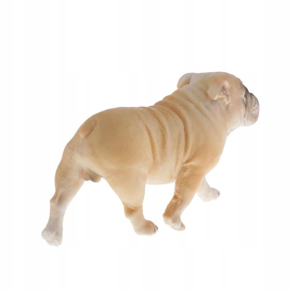 Simulation Pets Animal model Figurine Educational toy Decoration 1