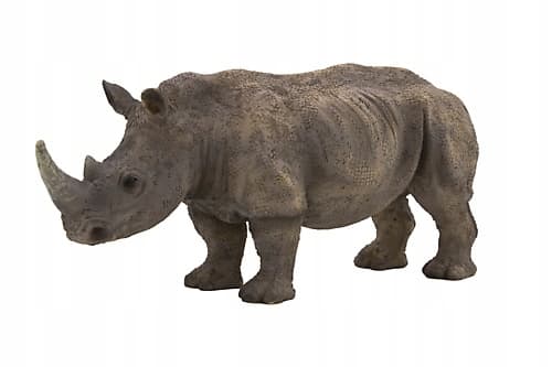 Mojo the White Rhinoceros
