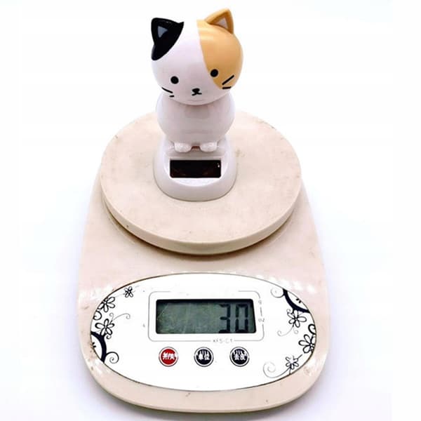Solar-powered Creative car interior Plastic white and black Pointear