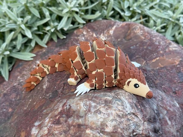 3D Pangolin – A Modular Figurine in a New, Multicoloured Design, toy