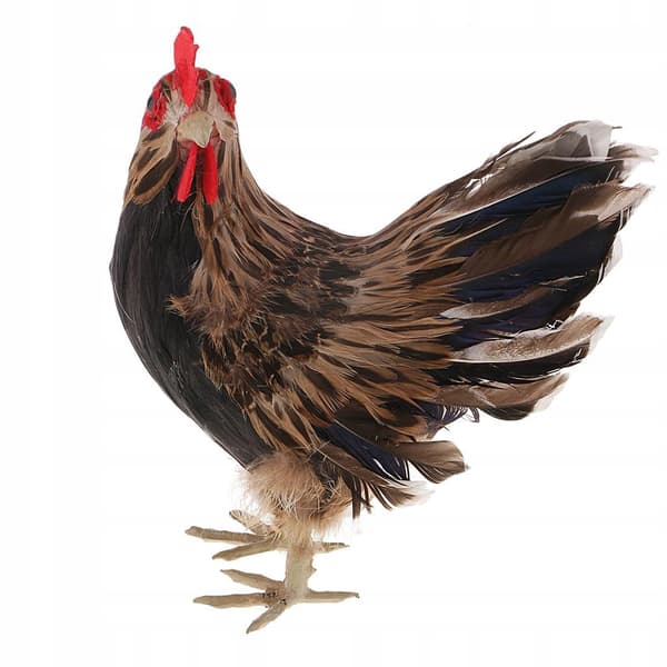Feather Chicken Miniatures – Model Statue – Simulated Sculpture – Christmas