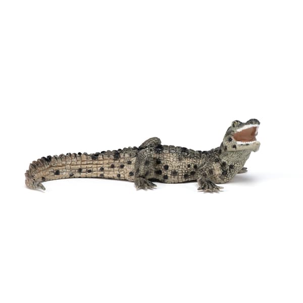 YOUNG CROCODILE [FIGURINE]